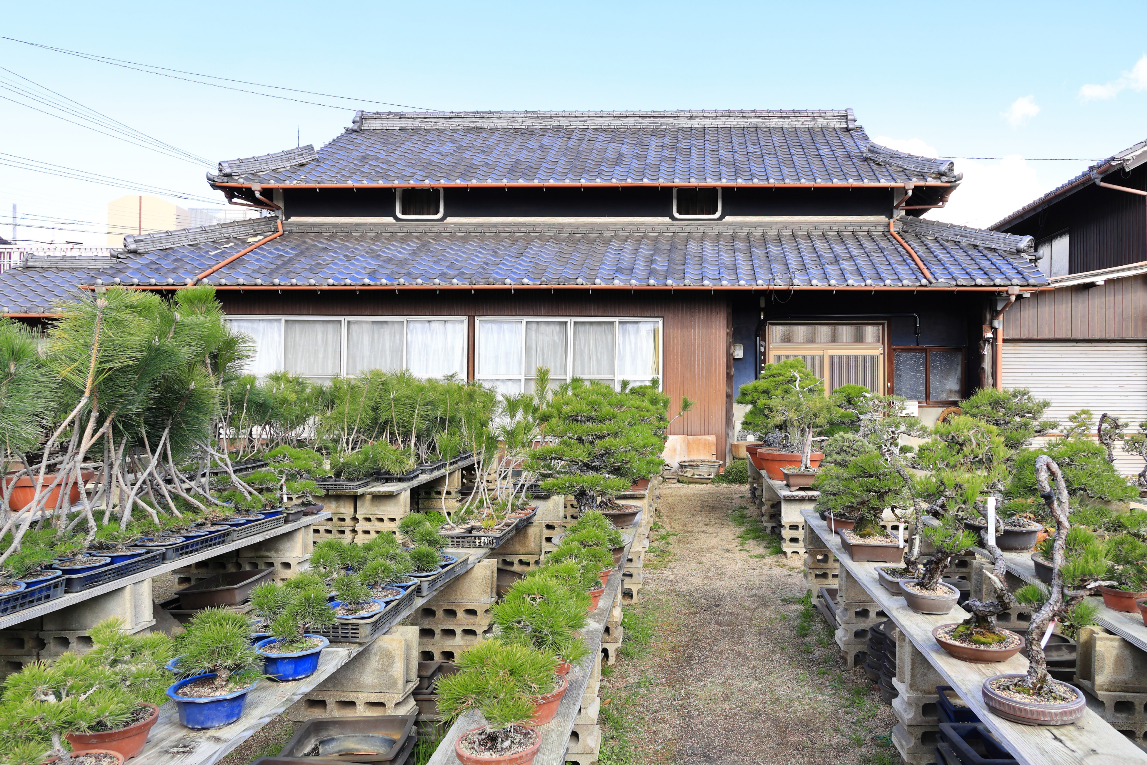 Slideshow Image 5
