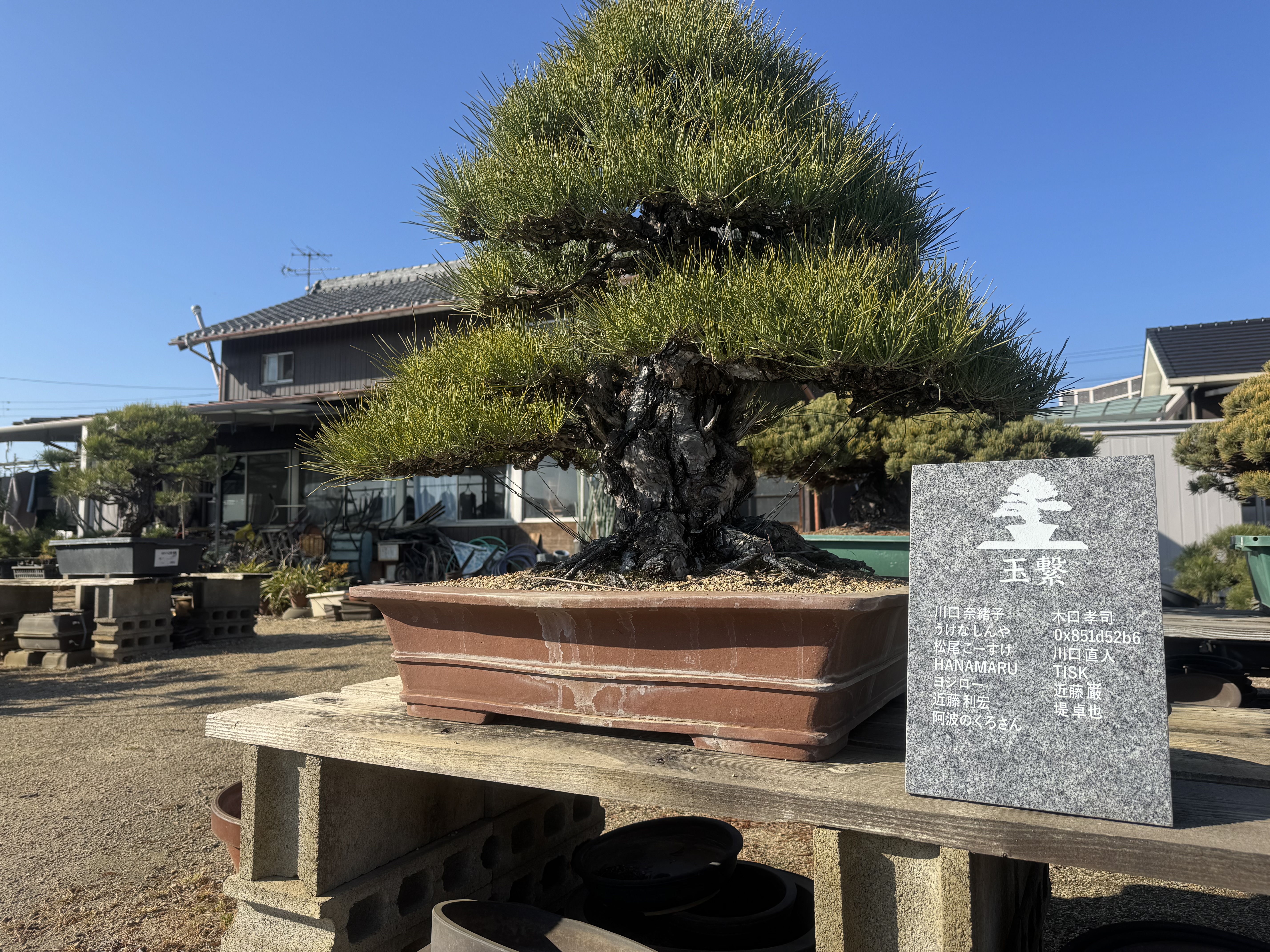 Slideshow Image 2