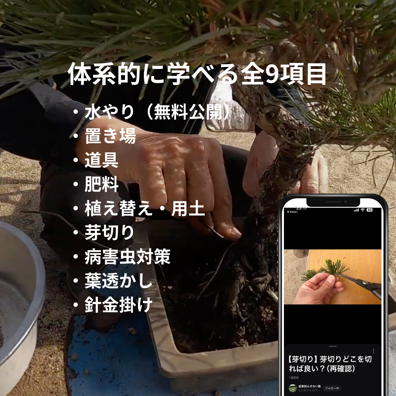 WEB教材